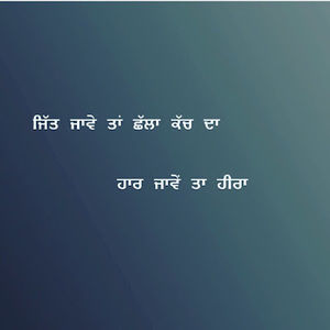 Meet your Posher, Satinder